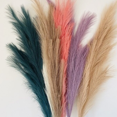 Raminhos decorativos coloridos contra fundo branco