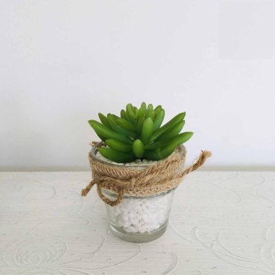 Vaso de vidro com planta suculenta artificial e pedras brancas