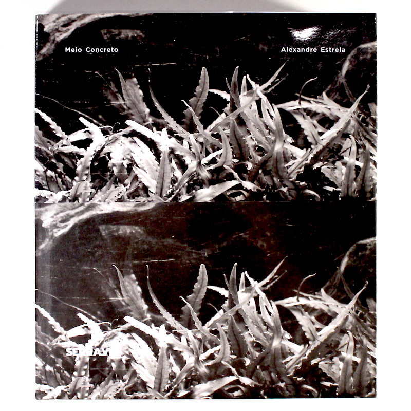 Alexandre Estrela: Meio Concreto Alexandre Estrela: Meio Concreto