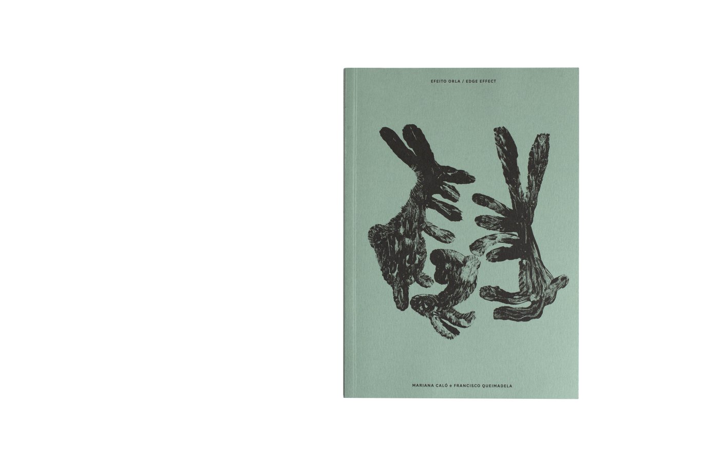 Efeito Orla Efeito Orla