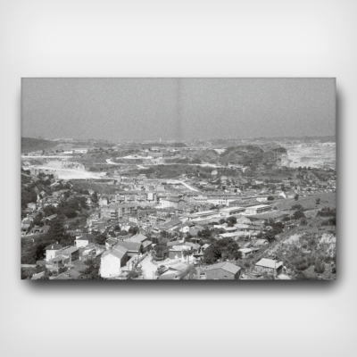 Onde Vais, Por Esse Trilho, Com o Canto da Toutinegra?