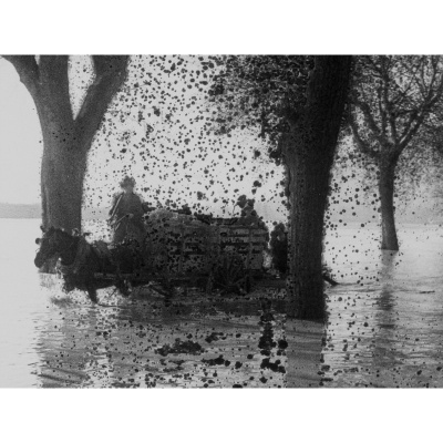 Bill Morrison: Footprints