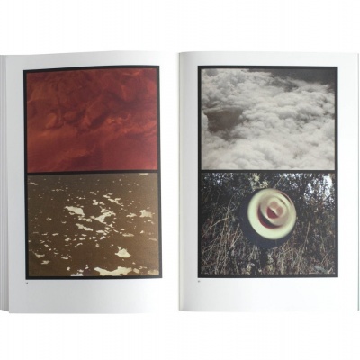 Efeito Orla Efeito Orla