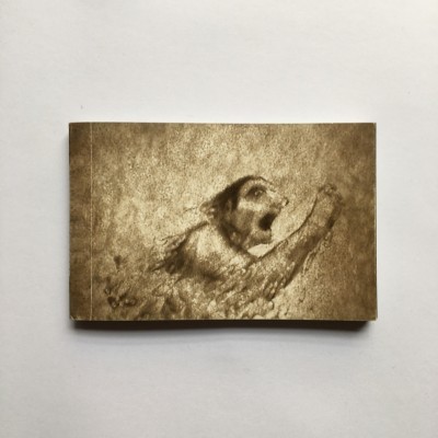 Flipbook Clandestino