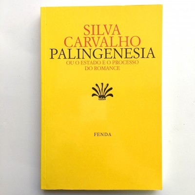 Palingenesia ou o Estado e o Processo do Romance