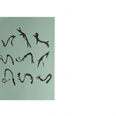 Efeito Orla Efeito Orla