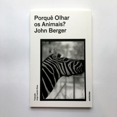 Porquê Olhar os Animais?