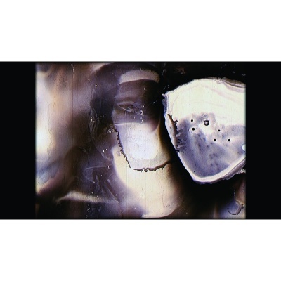 Bill Morrison: Footprints