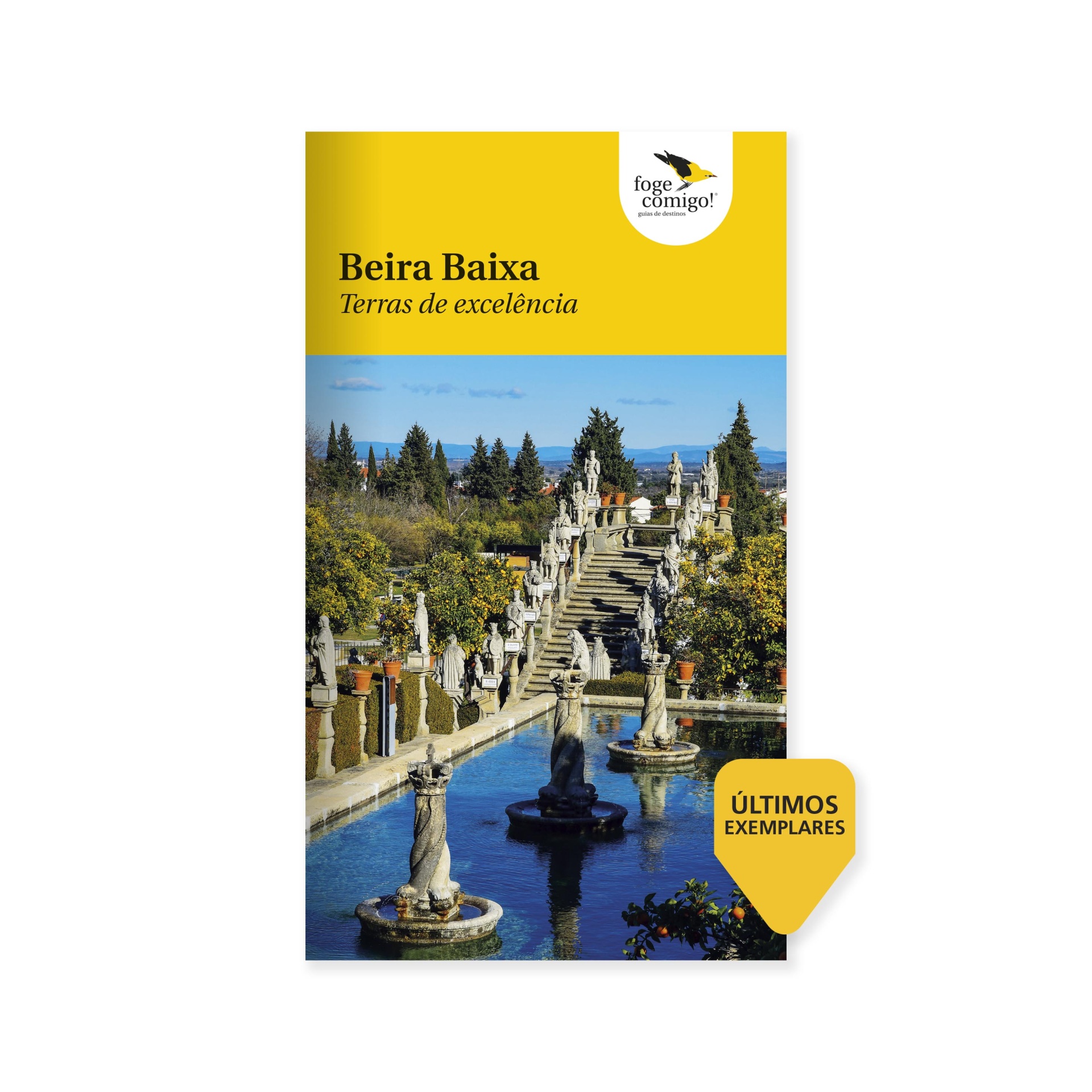 Beira Baixa - Terras de excelência Capa de livro Beira Baixa Terras de excelência com escadaria e estátuas