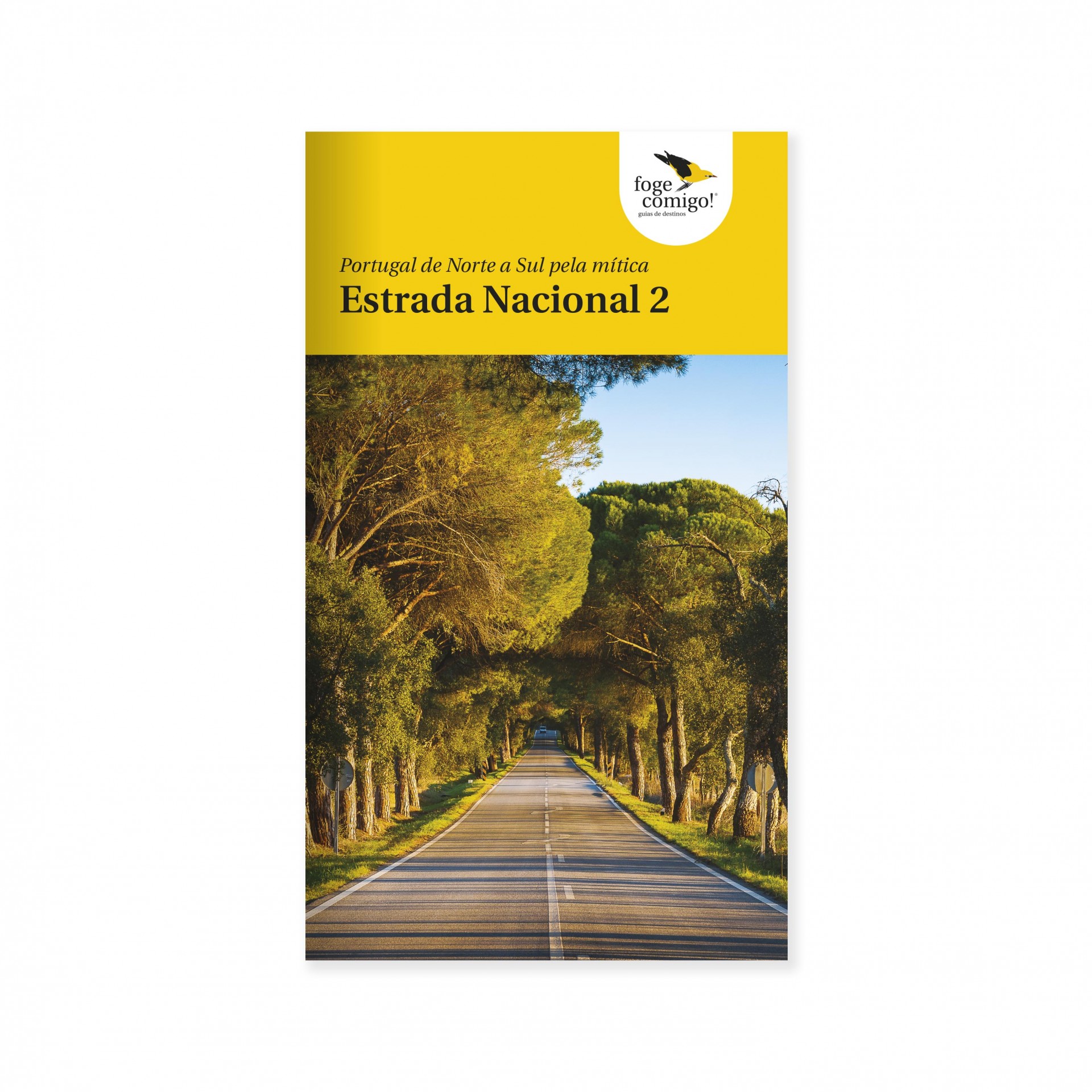 Capa de livro amarela com título e imagem de estrada ladeada por árvores