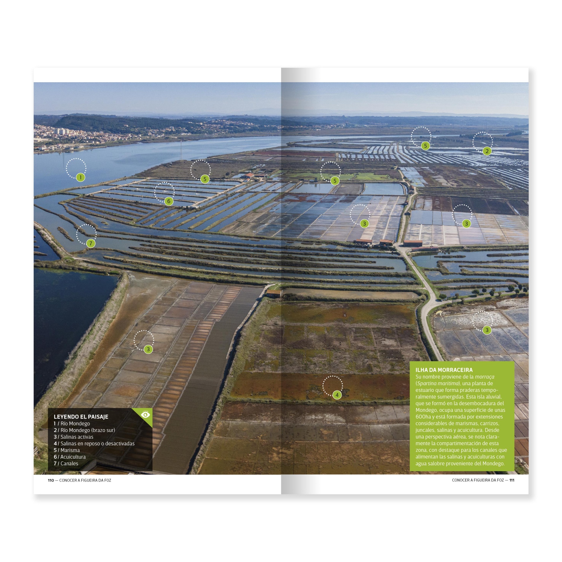 Figueira da Foz - La Reina de las Playas de Portugal Paisagem aérea de salinas com parcelas de terra e água delimitadas por caminhos e texto explicativo em português.