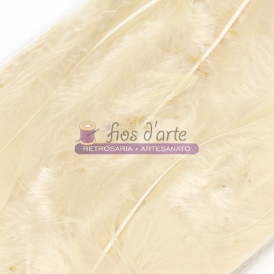 Penas bege claro com texto promocional sobre fundo branco