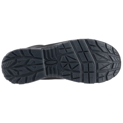 Bota&#x20;magnus&#x20;Baak