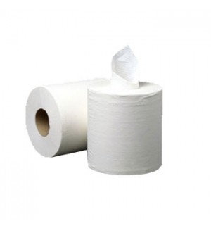 Dois rolos de papel higiénico brancos em fundo branco