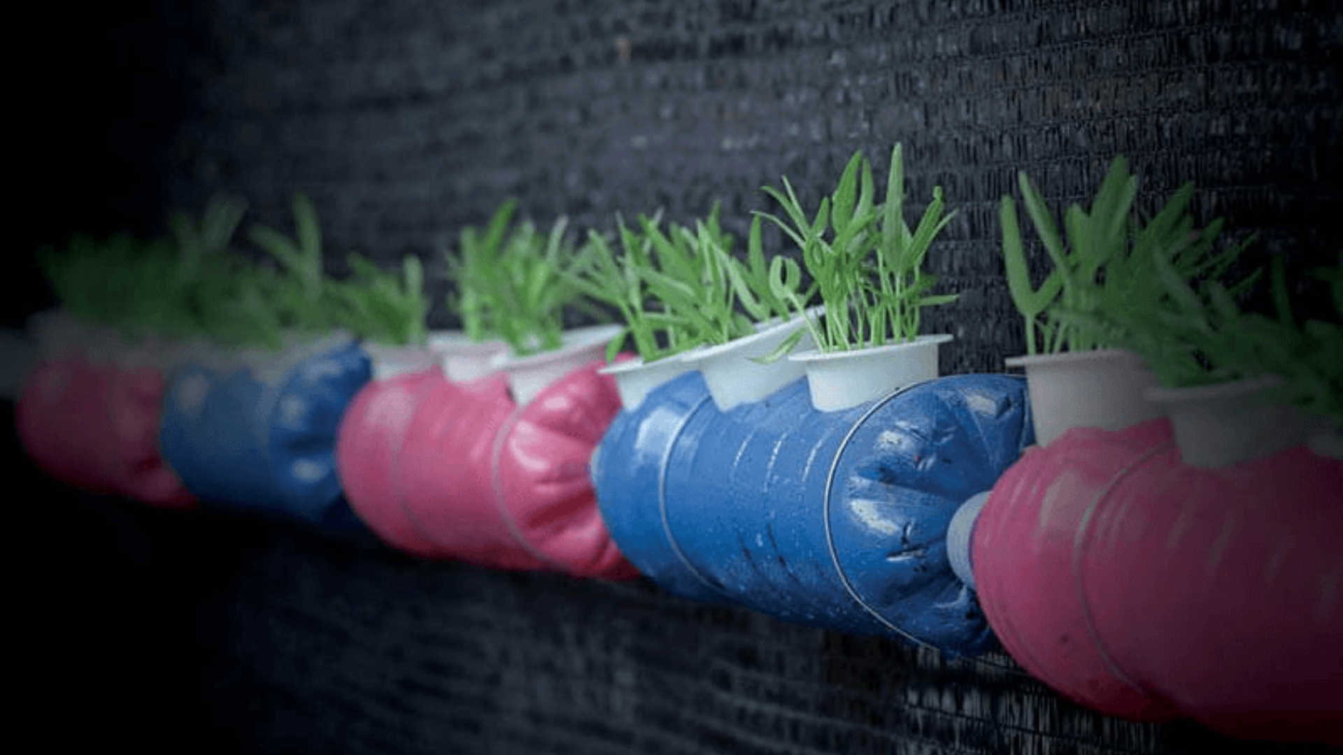 Desvantagens de um sistema Wick