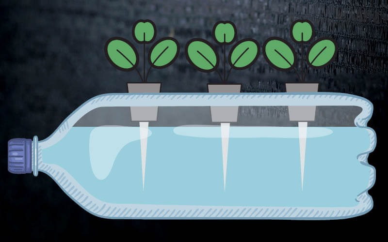 sistema hidrop&oacute;nico Wick