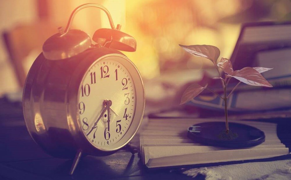 Relógio despertador vermelho vintage ao lado de planta e livros