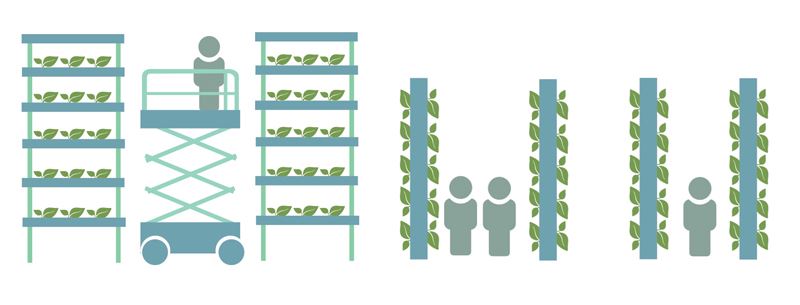 Hortas Verticais hidroponia