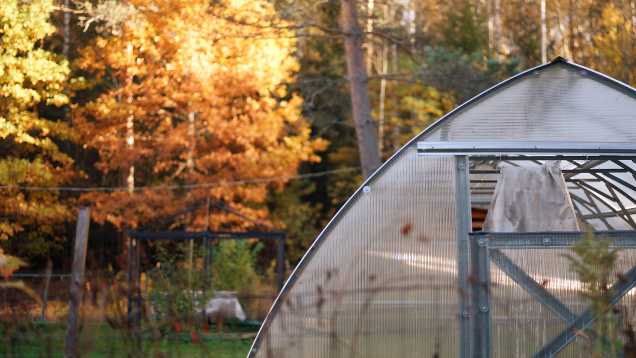 Estufa transparente com estrutura metálica cinza em ambiente exterior outonal