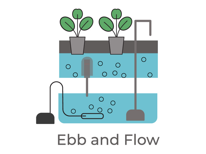 Ebb and Flow