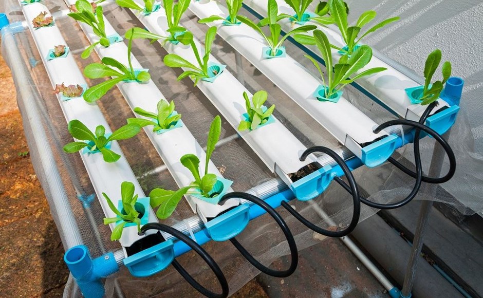 Sistema hidropónico de tubos brancos e azuis com plantas verdes e tubos pretos num ambiente interior.