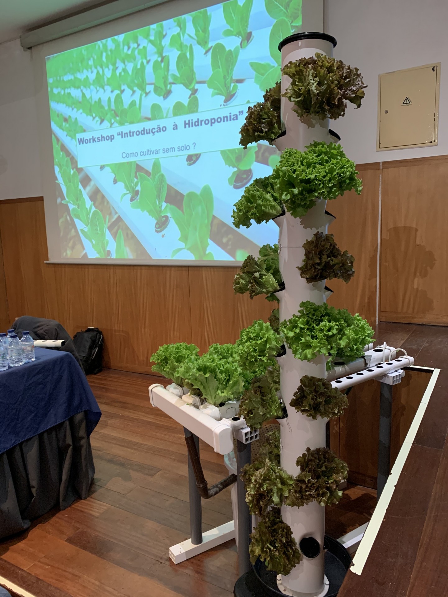 Forma&ccedil;&atilde;o hidroponia