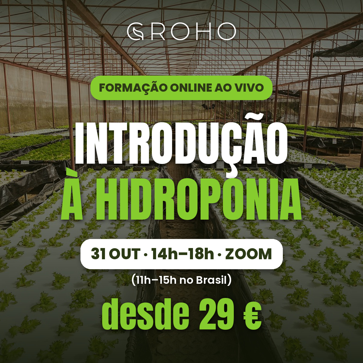Formação Online "Introdução à Hidroponia" – 31 Outubro 2026 Estufa com cultivo hidropónico de alfaces verdes e texto promocional de curso online de hidroponia