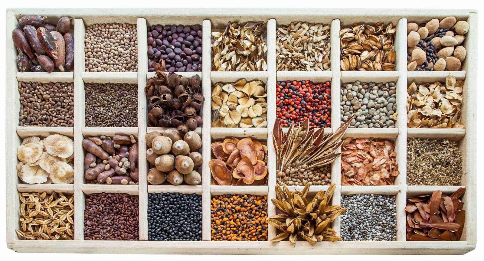 Caixa de madeira com sementes e frutos secos variados