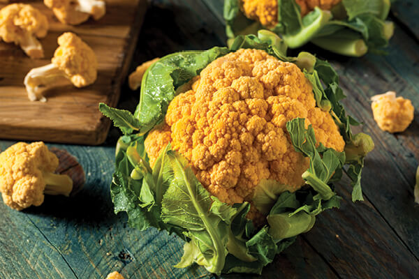 couve flor hidroponia