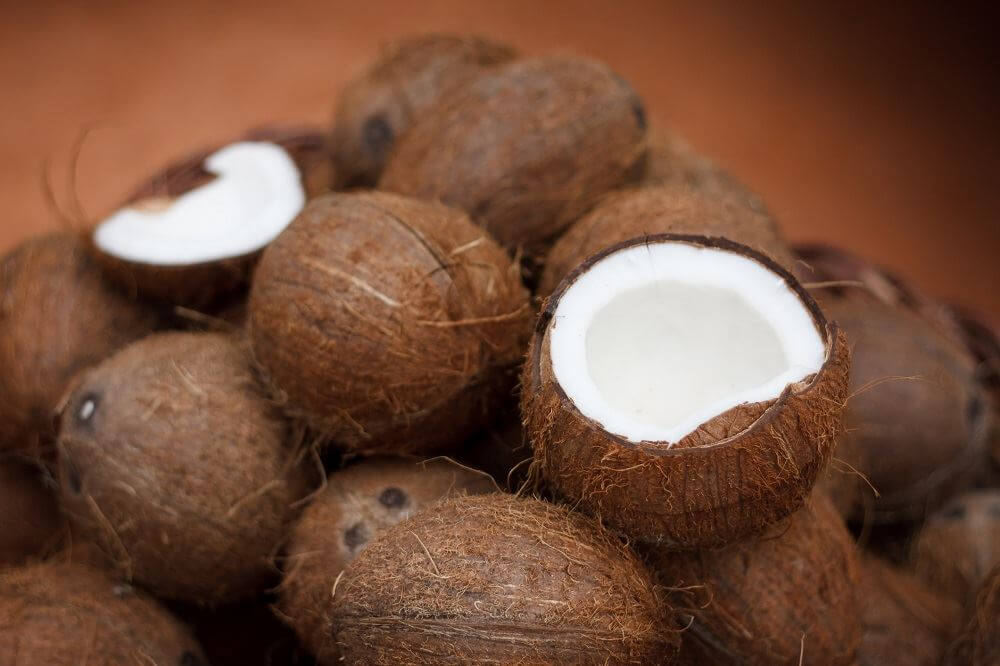 fibra de coco