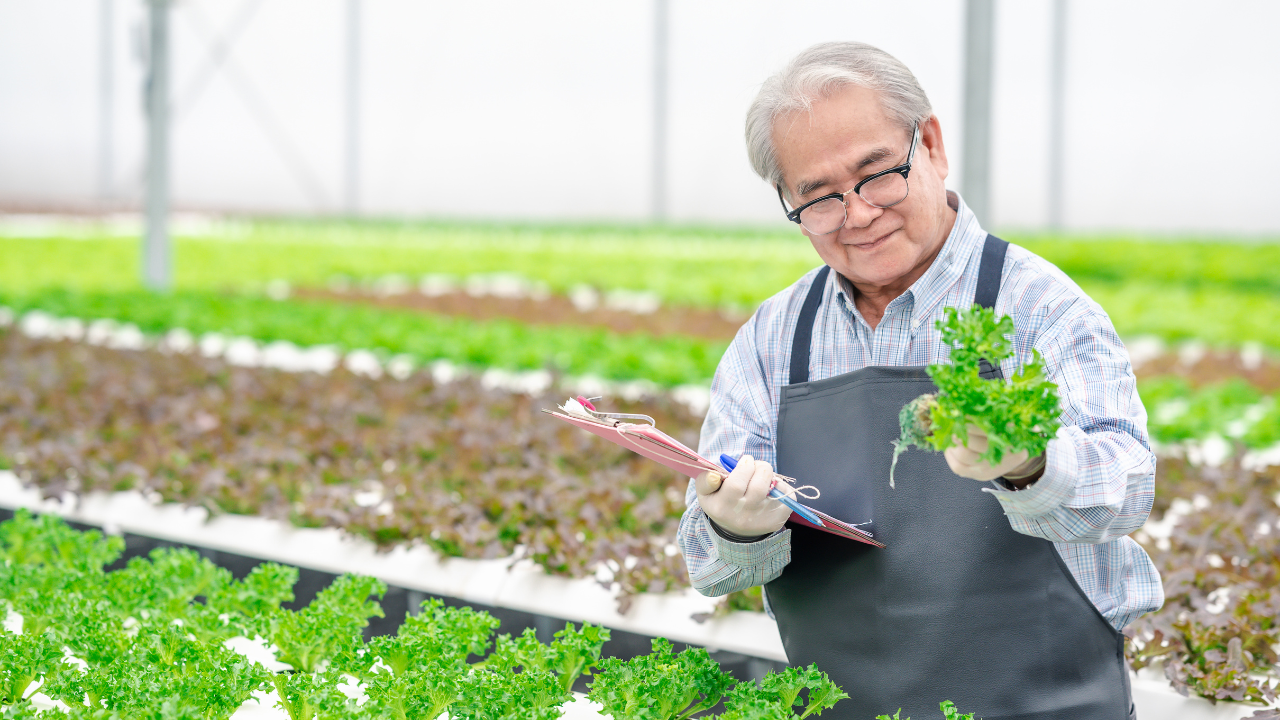 Homem idoso em estufa agrícola com planta verde e caderno