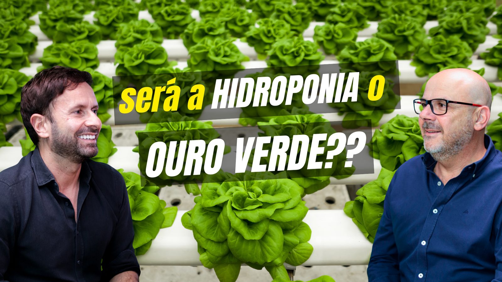 Dois homens junto a cultivo hidropónico de alfaces com texto sobreposto em português.