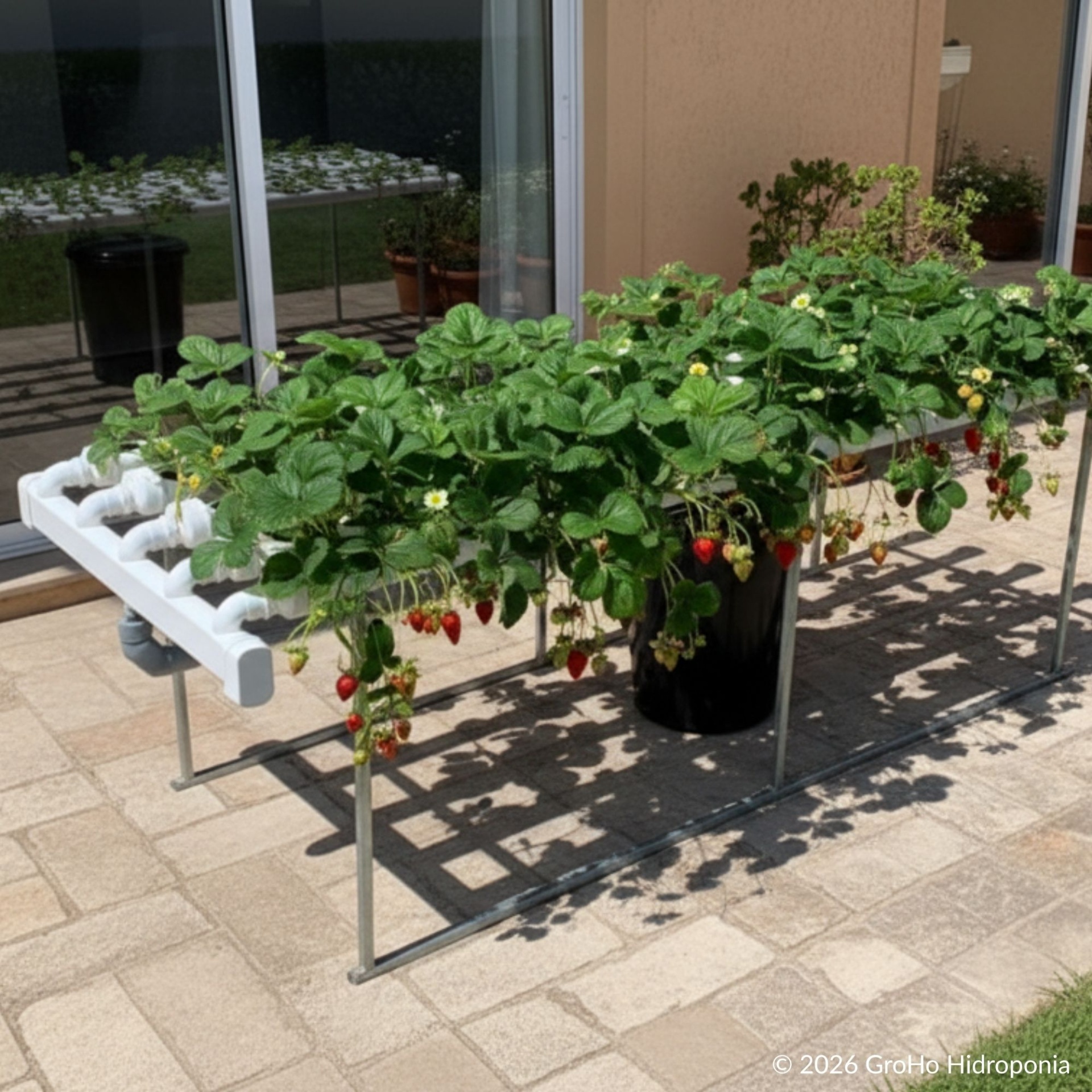 Hydro 110 Horizontal Cultivo hidropónico de morangos em tubos brancos com estrutura metálica no exterior
