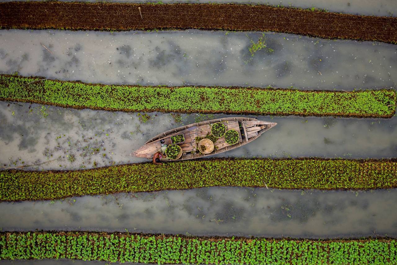 Barco de madeira num rio com faixas de vegetação verde visto de cima