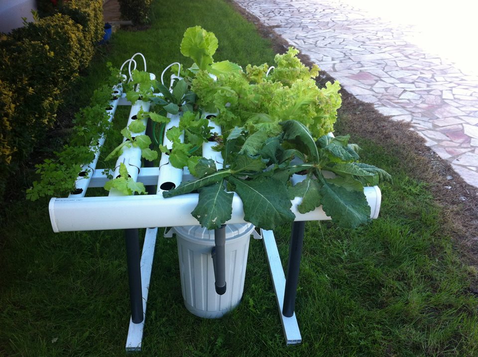 sistema NFT hidroponia