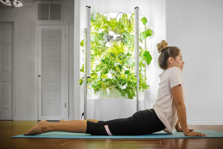 Sistema de cultivo hidropónico vertical com plantas verdes e mulher a alongar no chão