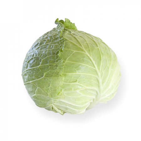 Couve lombardo ESTREMA Repolho verde fresco com folhas nervuradas em fundo branco