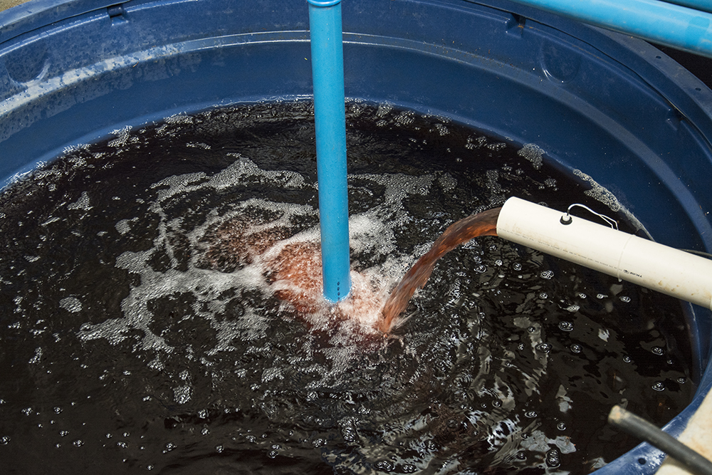 nutrientes hidroponia