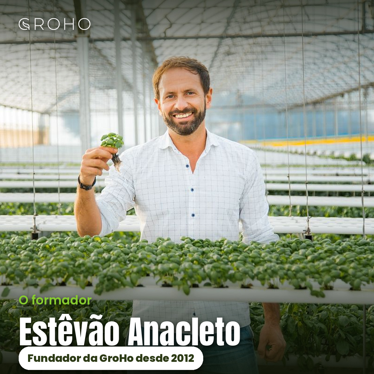 Formação Online "Introdução à Hidroponia" – 31 Outubro 2026 Homem em estufa segurando planta verde com raízes, ao fundo muitas plantas em bandejas suspensas