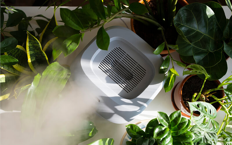 controlar a estufa hidroponia