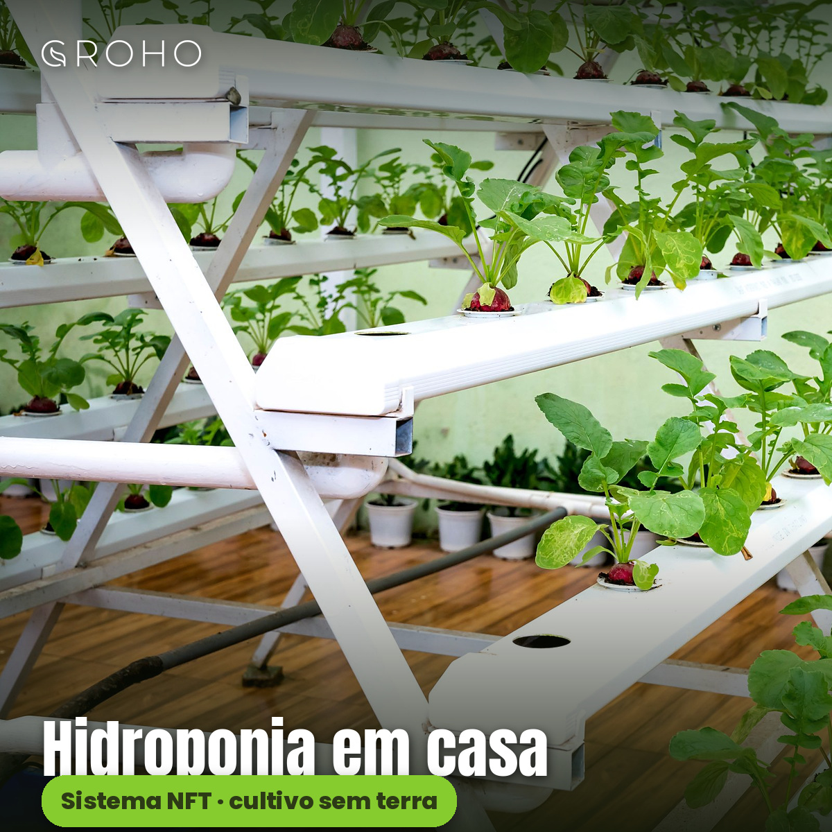 Formação Online "Introdução à Hidroponia" – 31 Outubro 2026 Sistema hidropónico NFT em casa com plantas verdes em tubos plásticos brancos em moldura metálica