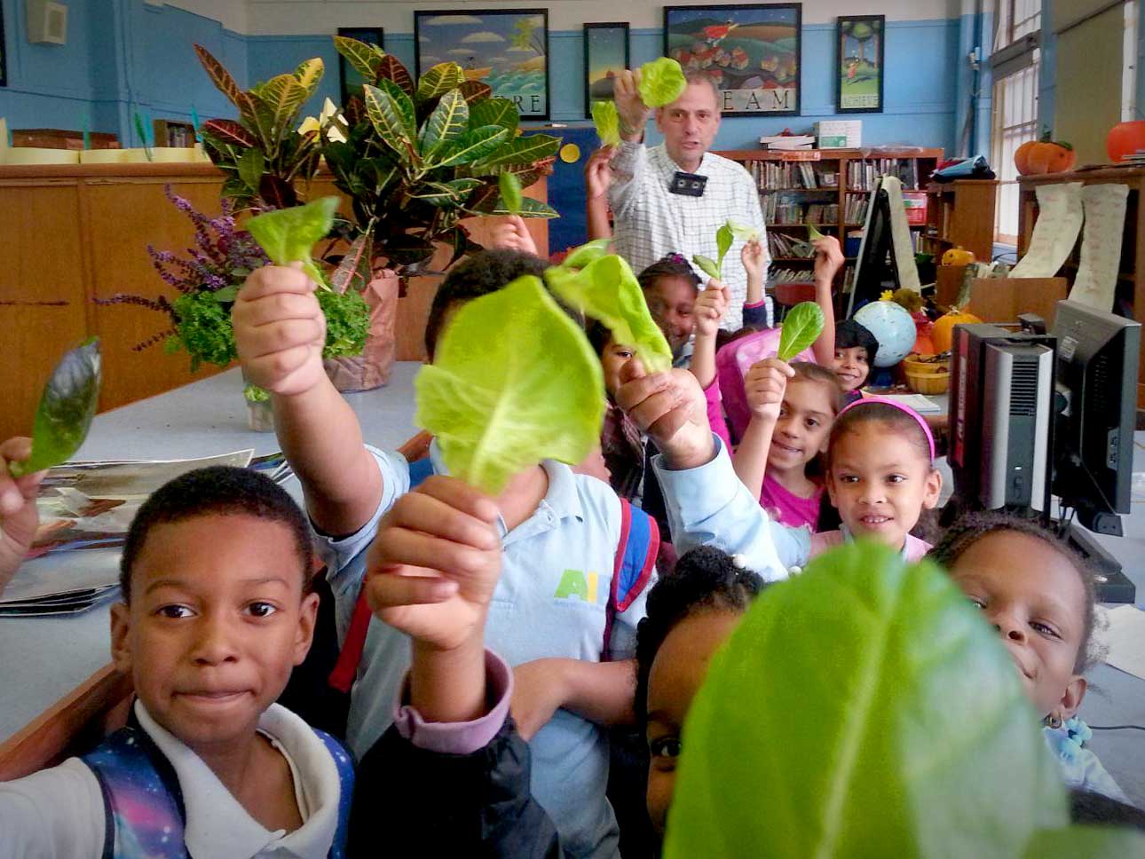Crianças seguram folhas verdes numa sala de aula com estantes e quadros ao fundo