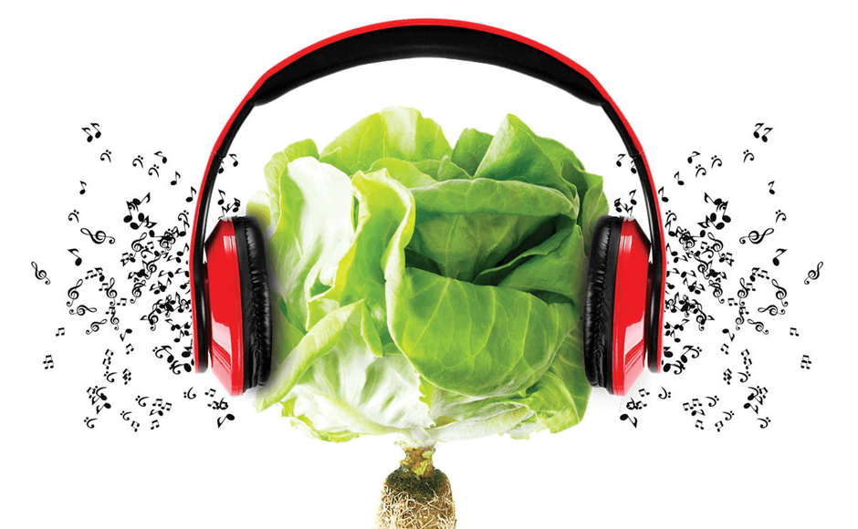 Alface com auscultadores vermelhos e pretos a emitir notas musicais