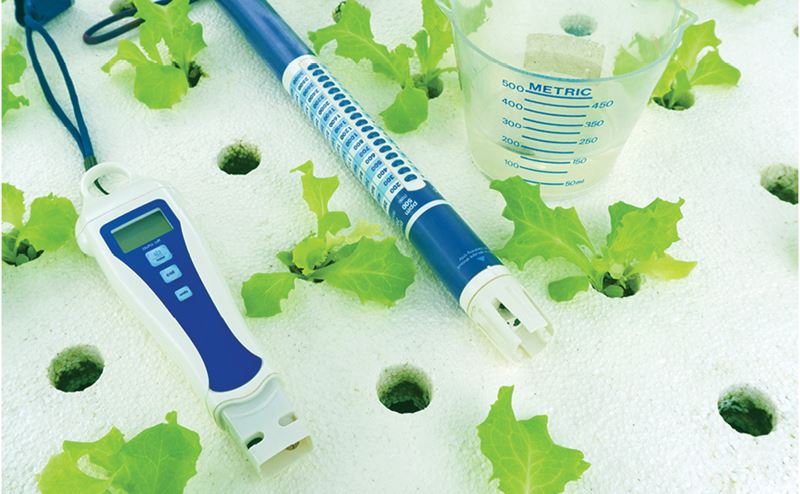 Sistema de hidroponia com alfaces, medidor de pH e copo medidor com marcações.