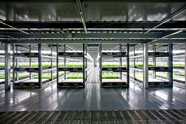 hortas verticais hidroponia