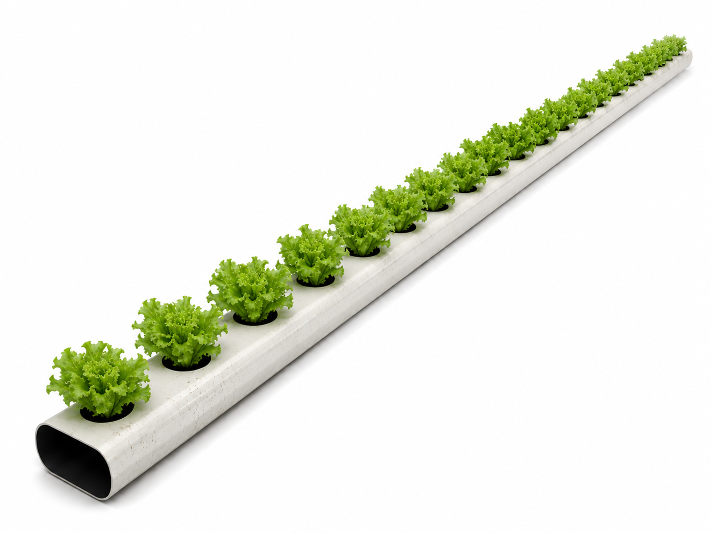Perfil de Berçário 49mm Usado — 2 Metros Sistema de cultivo hidropónico com alfaces verdes em tubo branco