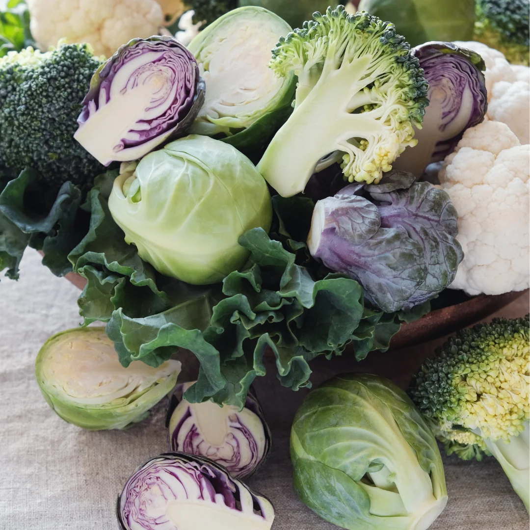 vegetais em aeroponia