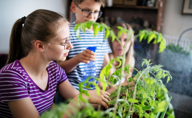Pessoas a cuidar de plantas verdes num ambiente interior, pulverizando com borrifador azul.