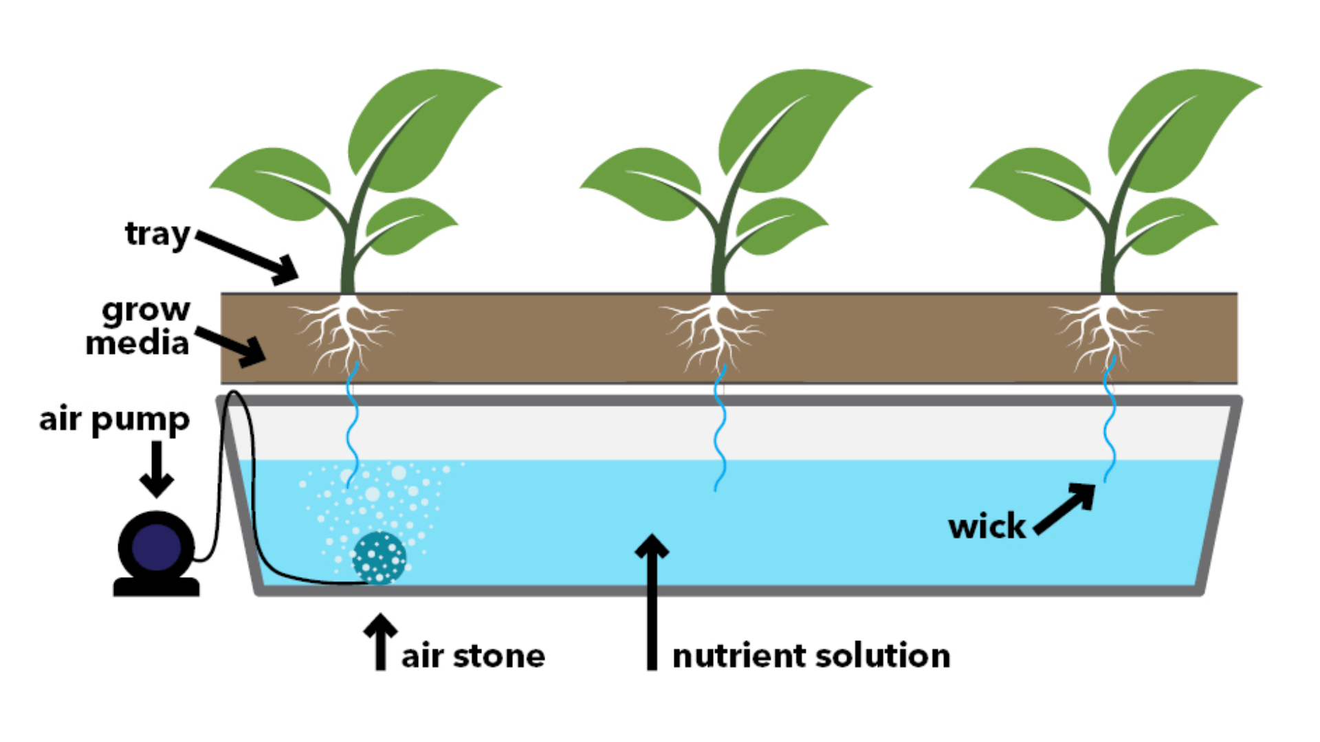 sistema hidroponia pavio