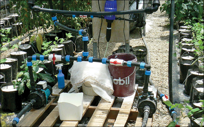 filtragem Hidroponia